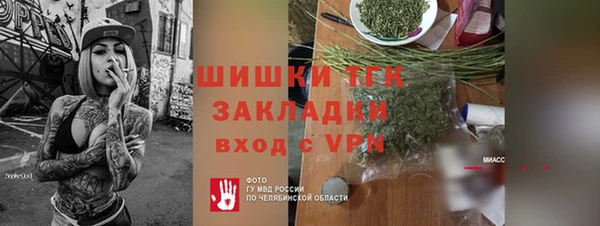 прущие грибы Белоозёрский